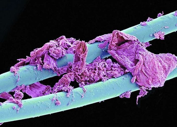 Как выглядит зубная щетка под микроскопом тонометры b well