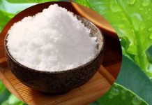 Трегалоза: сахарозаменитель без калорий