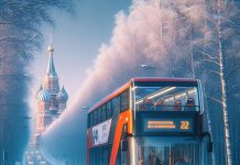 Пассажирские перевозки на автобусе: функции, значение и особенности