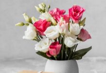 Цветочная франшиза: эффективная модель бизнеса